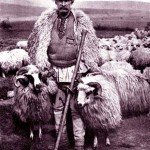 SibiuCioban