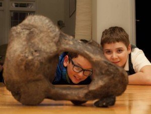 Mich. boys uncover 13,000-year-old mastodon bone